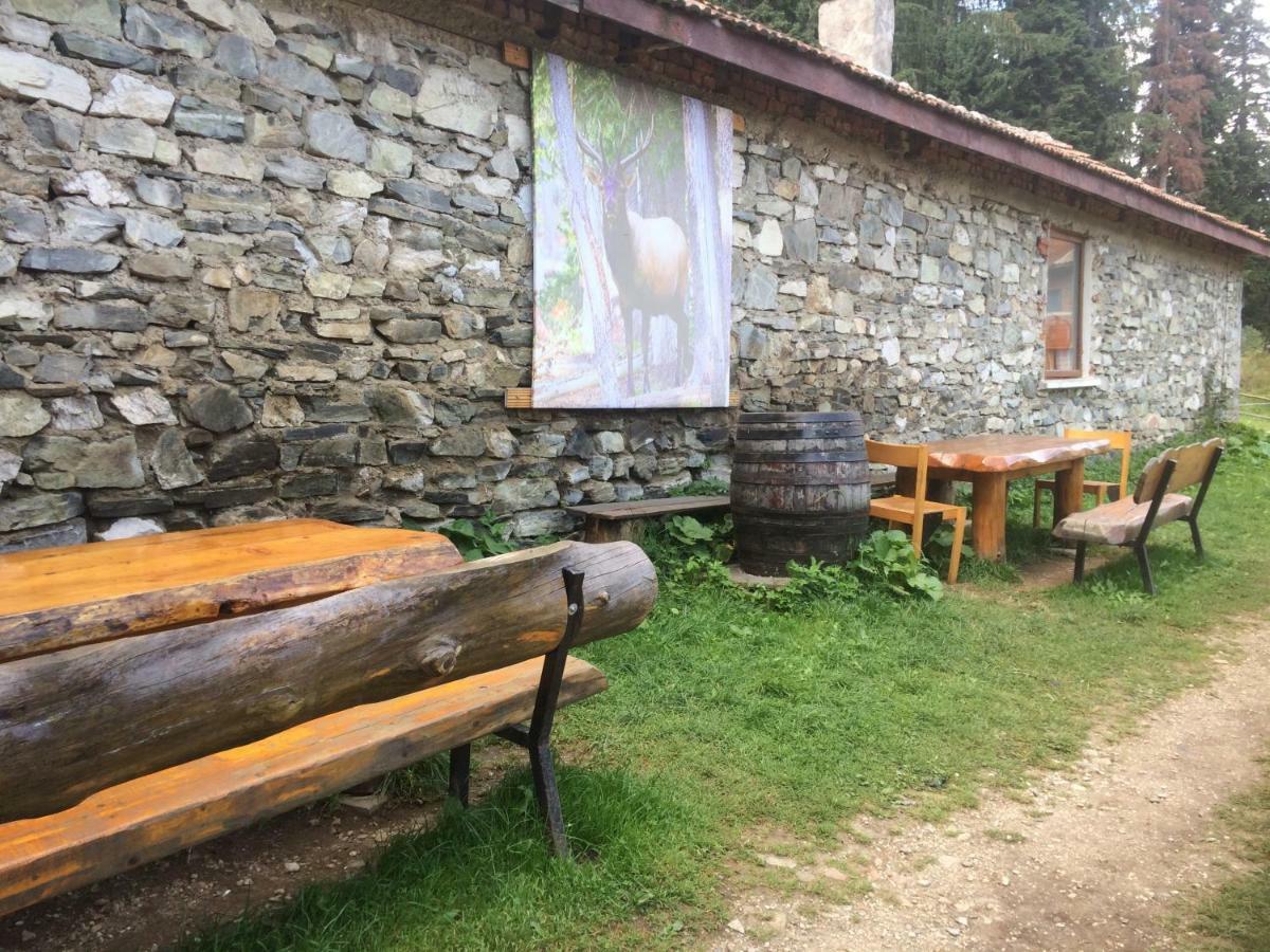 Villa Malka Yurta Hut à Panichishte Extérieur photo